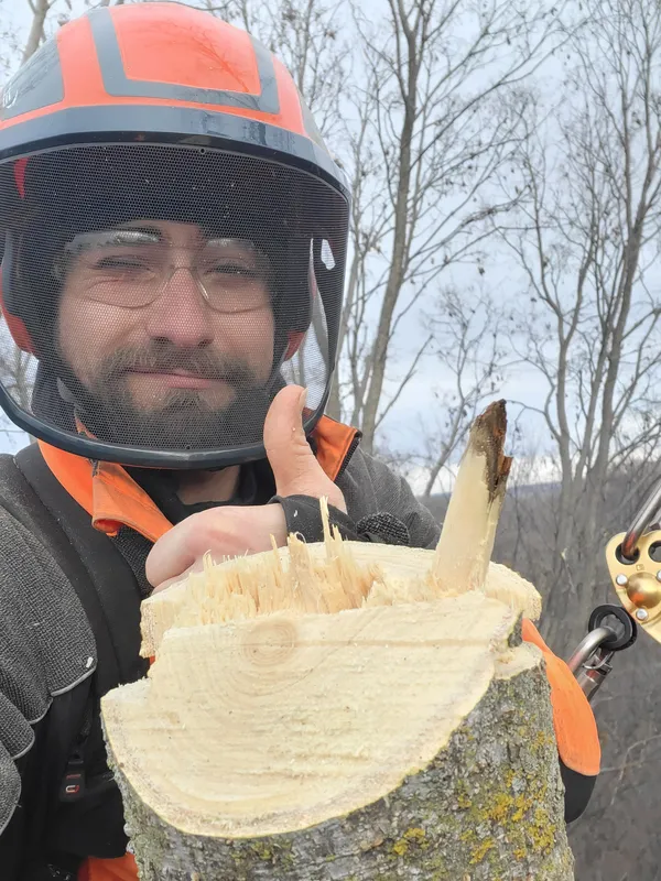 Andrew Duff smiling holding a well-cut branch